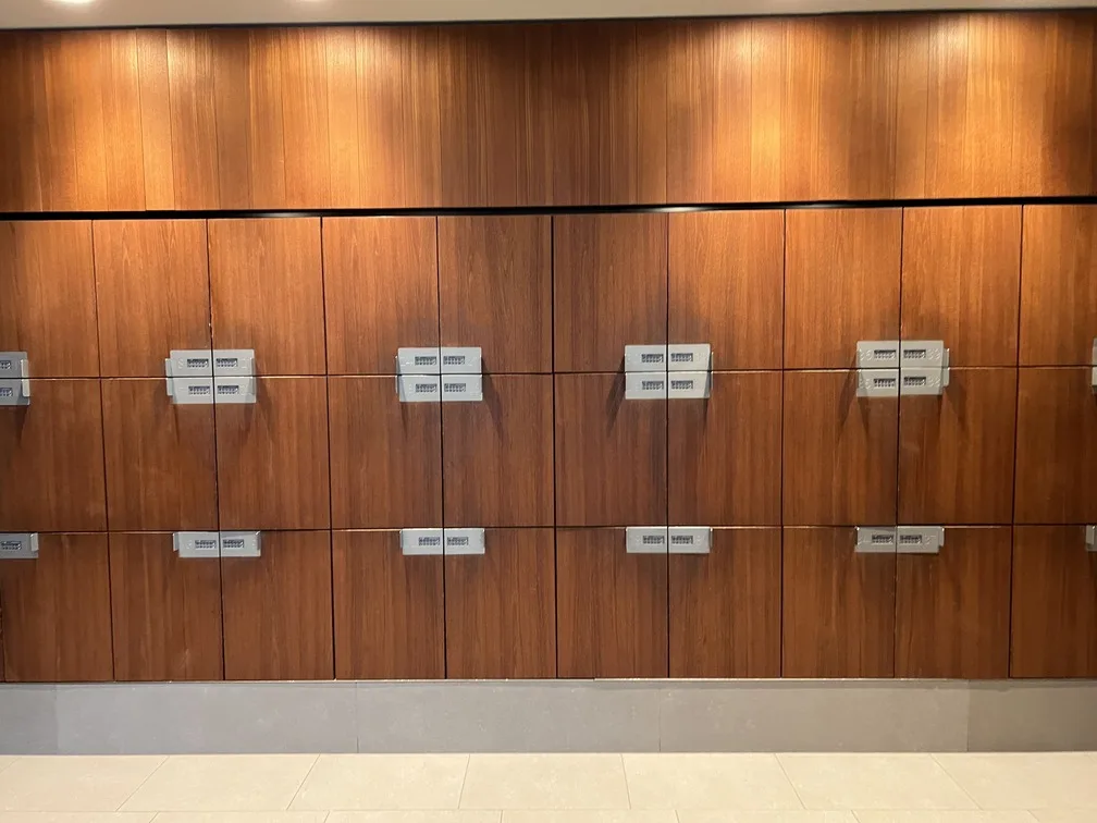 Armários de segurança